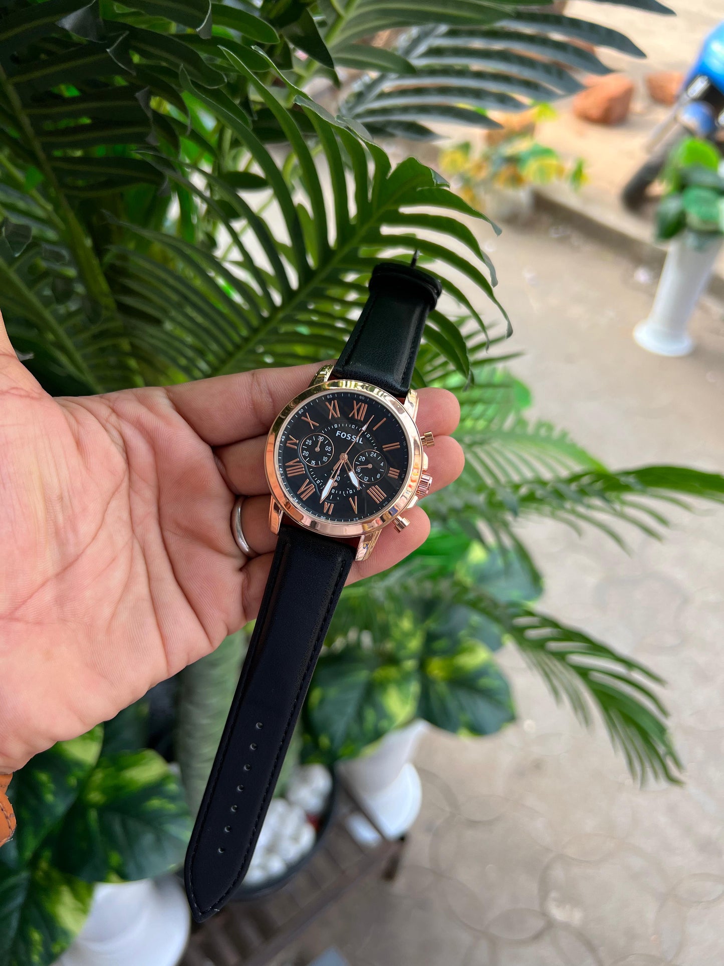 Fossil Strap Models