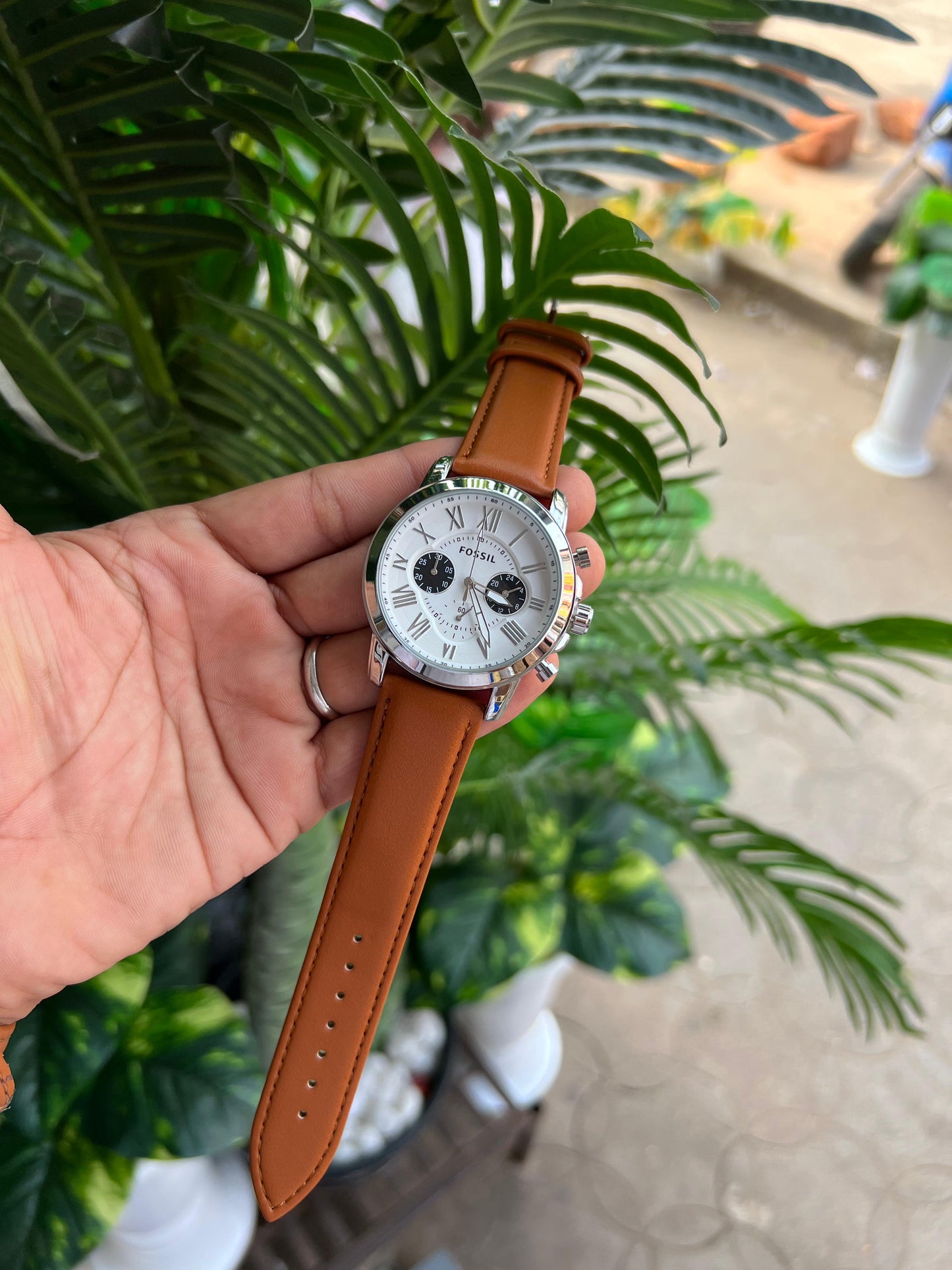 Fossil Strap Models